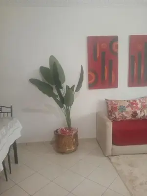 a plant in a pot in a room with a couch at Appartement cosy in Marrakech