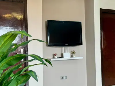 a flat screen tv on a wall with a plant at Appartement moderne dans Marrakech in Marrakech
