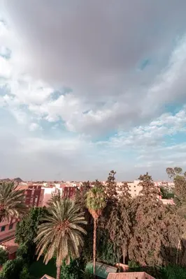 a view of a city with palm trees and buildings at La maison du soleil in Oulad Akkou