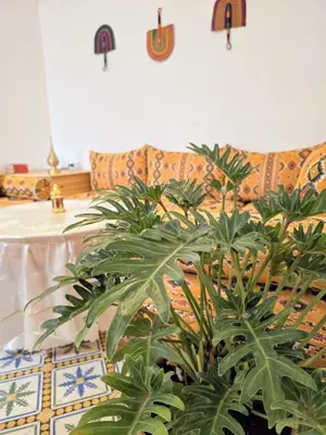 a living room with a couch and a plant at Dar laarbi Kasbah in Marrakech