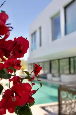 a bunch of red flowers in front of a house at Villa PALM GOLF AMELKIS in Marrakech