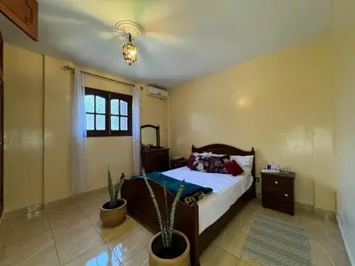 a bedroom with a bed and a potted plant at Cozy room in marrakech in Marrakech