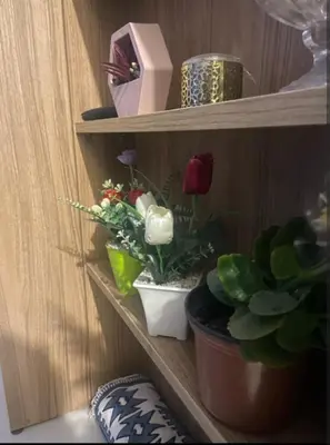 a wooden shelf with potted plants on it at Moroccorent in Marrakech