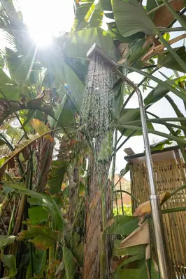 a palm tree with water dripping off of it at Charmante villa de 4CH avec piscine privée - Proche du Beldi Country Club in Marrakech