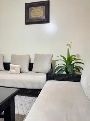 a living room with a couch and a plant at Only 5-minutes walk to airport, your perfect choice for an early or late flight in Oulad Akkou