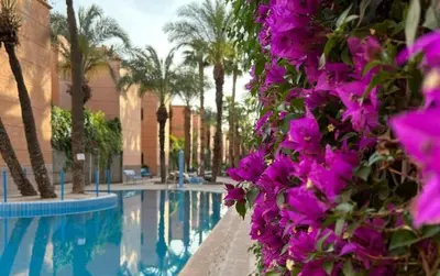 a bunch of purple flowers next to a swimming pool at Le Riad l'étoile beldi in Marrakech