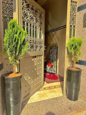 two potted trees in large black vases next to a gate at Marrakech home in Marrakech
