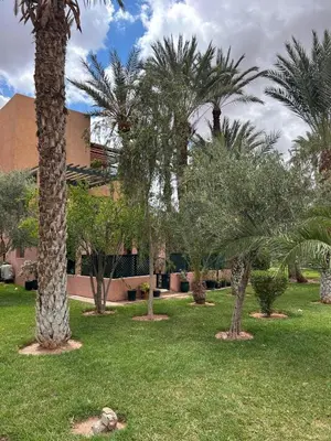 a group of palm trees in a yard with a building at Maison à la Palmeraie avec piscine et parking à Marrakech in Marrakech