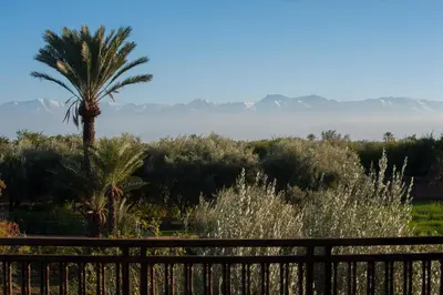 a palm tree and a fence with mountains in the background at Dar Toozween in Marrakech