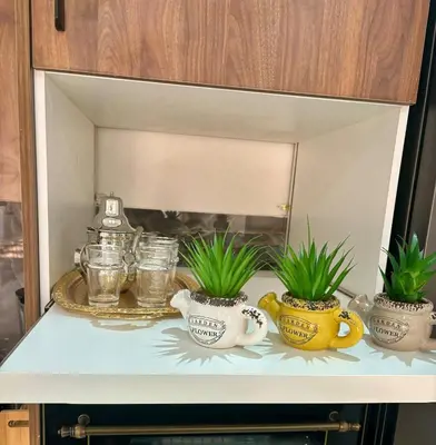 a shelf with three plants in a kitchen cabinet at Cocoon in Gueliz, Netflix, IPTV in Marrakech