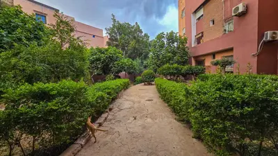 a cat walking down a dirt path between two buildings at Appartement Chic et Confortable, Netflix, PS4 & Wi-Fi Centre Marrakech in Marrakech