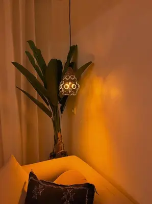 a vase with a plant in a room with a light at Appartement Luxueux à Guéliz in Marrakech
