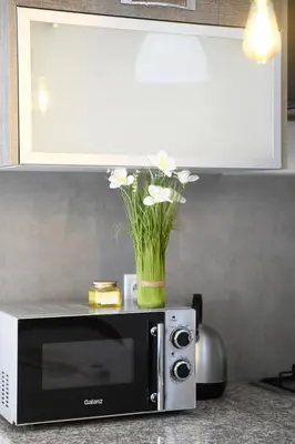 a vase of flowers sitting on top of a microwave at Cozy One-Bedroom Apart Wi-Fi, Netflix, and Balcony in Marrakech