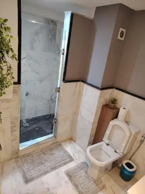 a bathroom with a shower and a toilet at Studio Centre Ville in Marrakech