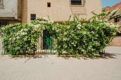 a fence covered in flowers in front of a building at Aéroport hostel et chambre appartement studio Marrakech in Marrakech
