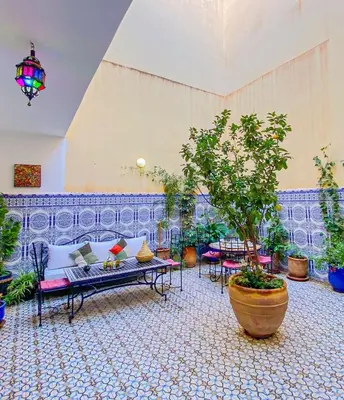 a living room with a couch and a potted tree at Dar AINA in Marrakech