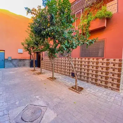 Dar AINA