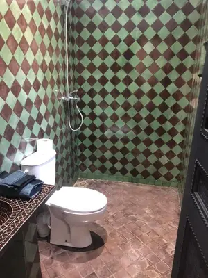 a bathroom with a toilet and a shower at Dar AZZARO in El Rhechat