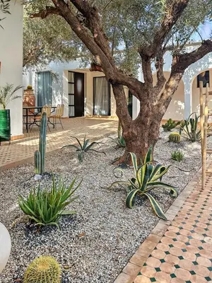 a garden with a tree and some plants at Dariana guesthouse in Marrakech