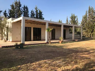 a white house with a palm tree in the yard at Dar AZZARO in El Rhechat