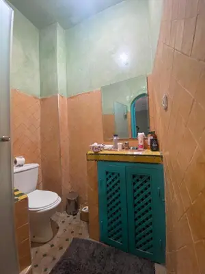 a bathroom with a sink and a toilet and a mirror at Riad Massin Marrakech in Marrakech