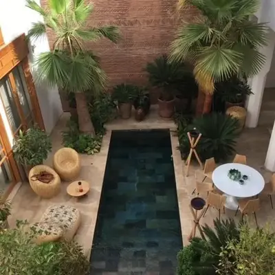 RIAD Oz