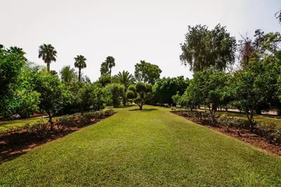 a park with green grass and trees and palm trees at La Villa Wassim in Marrakech