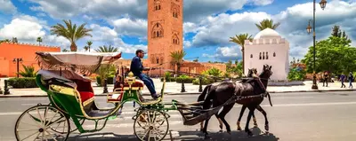 a man riding a horse drawn carriage on a street at Appart VIP 5 étoiles et romantique à Guéliz avec Piscine, Clim, Parking et Wifi haut débit 200 Mb in Marrakech