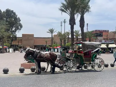 a horse pulling a carriage on a city street at Riad Maaffar in Marrakech