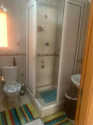 a bathroom with a shower and a toilet and a sink at Appartement Suzette in Marrakech