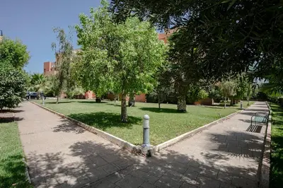 a park with benches and a tree and a sidewalk at 6-person appartment, terrace and spa in Marrakech