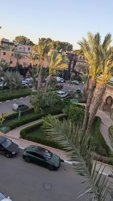 a green car parked in a parking lot with palm trees at Atelier des Reeves in Marrakech