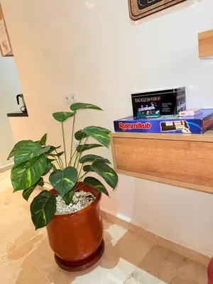 a plant in a pot next to a shelf at appartement familial in Marrakech
