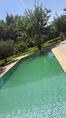 a large pool of green water in a yard at L ÉdenS in Marrakech