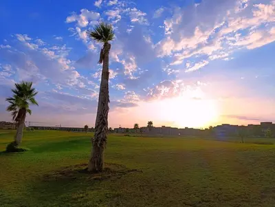 a palm tree in a field with the sunset in the background at Luxury Stay - Prestigia Golf City-3min - Airport in Marrakech