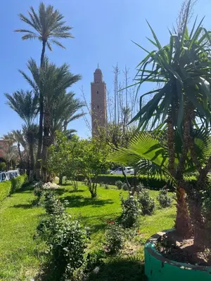 a park with palm trees and a building in the background at RIAD Al QARYA 4 chambres in Marrakech