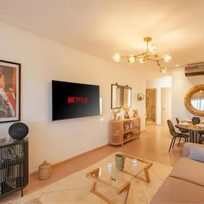 Z Series Cozy and Modern Apartment
