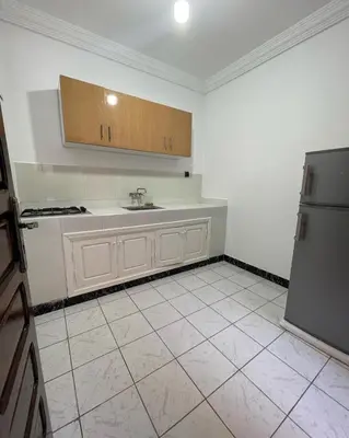 a kitchen with a sink and a refrigerator at Riad butterfly marrakech 2 in Marrakech