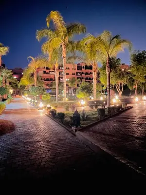 a street with palm trees and lights at night at Vue Fontaine appart in Marrakech