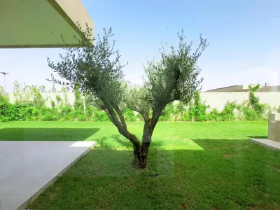 a small tree in the middle of a lawn at Villa Signature - Élégance , Confort en Double in Marrakech