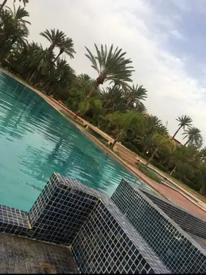 a swimming pool with palm trees in the background at Almaz appartement in Marrakech