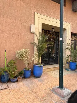 a group of potted plants in front of a building at Appartement de luxe 15 mn du centre in Marrakech