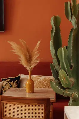a cactus sitting on a table next to a cactus at Riad Le Terracotta in Marrakech
