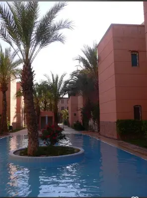 a palm tree sitting next to a building at Dar wafa in Marrakech