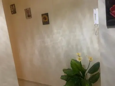 a plant in a vase next to a wall with pictures at Appartement diar Marjane in Marrakech