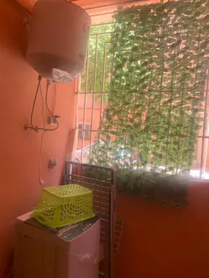 a window in a room with a green plant at Appartement diar Marjane in Marrakech