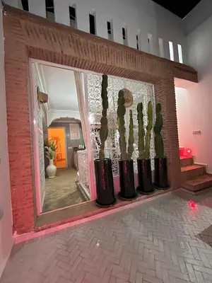 a room with a mirror and a group of cactus at Dar Farah Riad luxe privé, 3ch, piscine chauffée, ptit déj in Marrakech