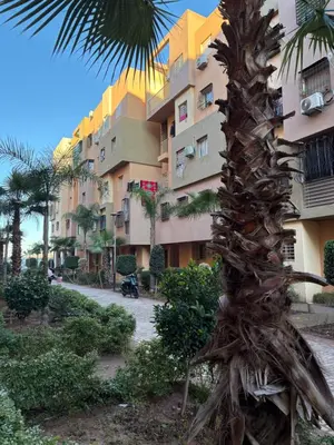a palm tree in front of a building at Les jardins de Carlota in Marrakech