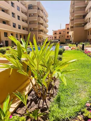 a plant in a yard in front of a building at Magnifique appartement avec piscine in Marrakech