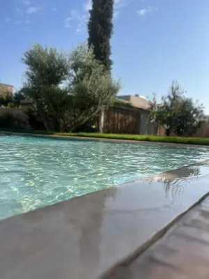 a pool of water with trees in the background at Dar Mayleya in Marrakech